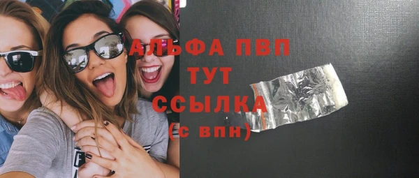 молекула духа Богородицк