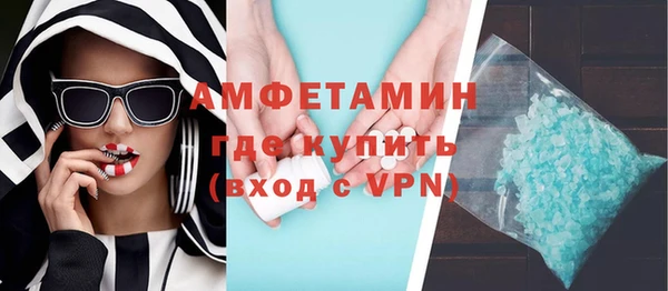 молекула духа Богородицк