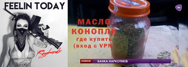 молекула духа Богородицк