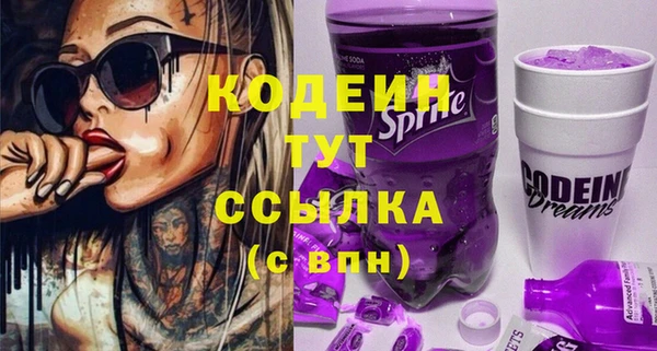 молекула духа Богородицк