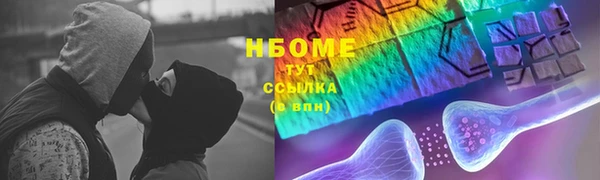молекула духа Богородицк