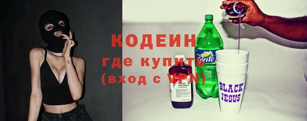 молекула духа Богородицк