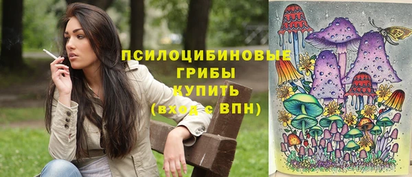 шишки Богданович