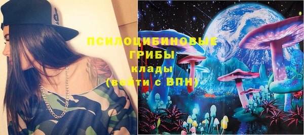шишки Богданович