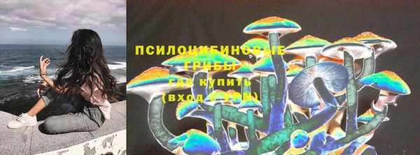 молекула духа Богородицк