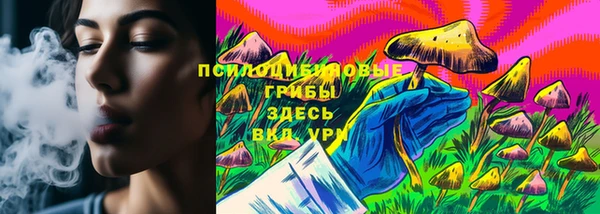 молекула духа Богородицк