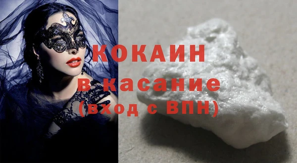 молекула духа Богородицк