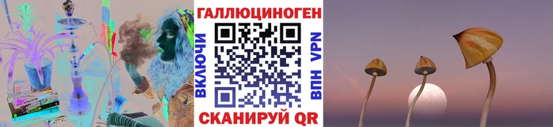 Галлюциногенные грибы мицелий  закладки  Бийск 